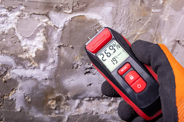 Best Affordable Mold Removal  in Allentown, PA