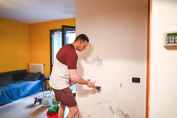 Best Mold Remediation  in Allentown, PA